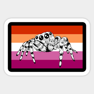 Cute Pet Jumping Spider Gay Lesbian Pride Flag Rainbow Month Sticker